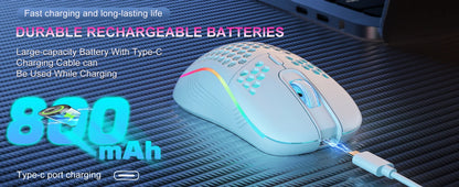 2.4G Wireless Gaming Mouse RGB Lighting Charging Mouse  with Adjustable DPI Ergonomic Honeycomb Design for Desktop Laptop